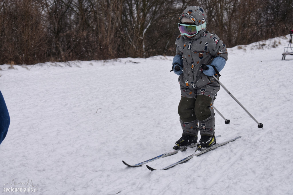 Skoki narciarskie na Lewitynie