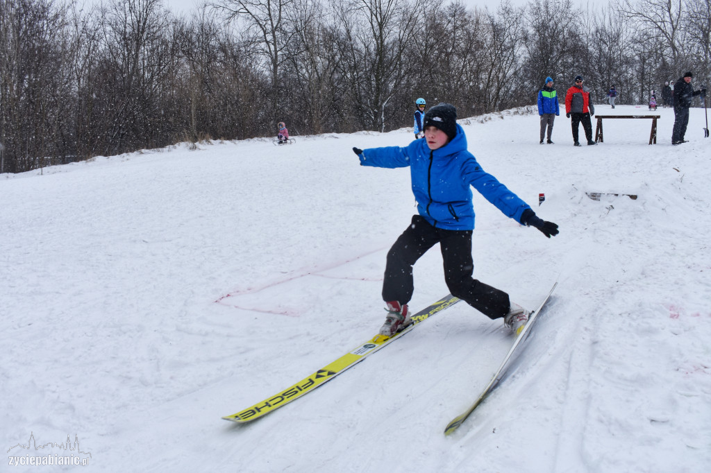 Skoki narciarskie na Lewitynie