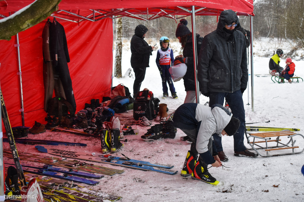 Skoki narciarskie na Lewitynie