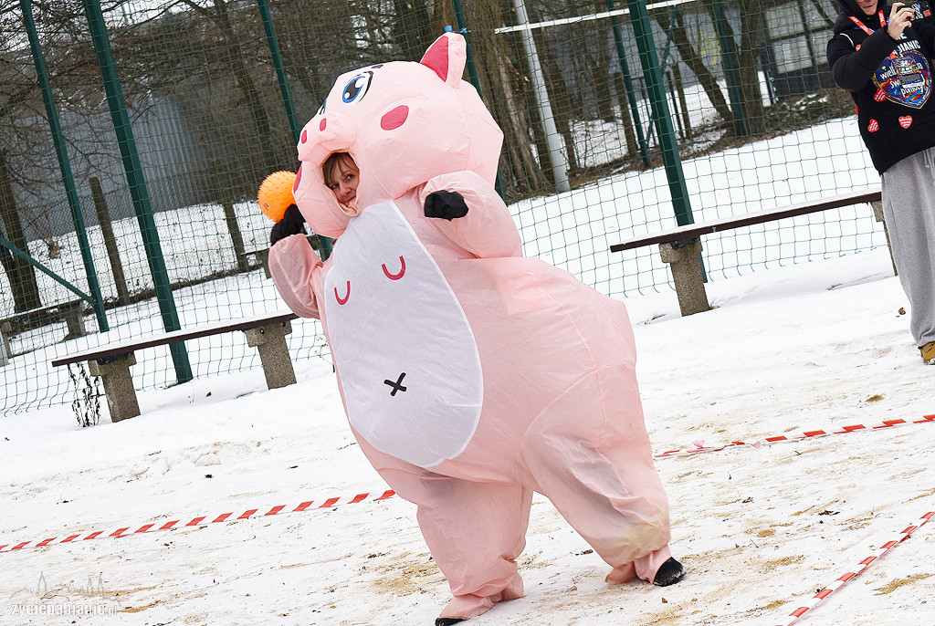 Finał WOŚP w Pabianicach