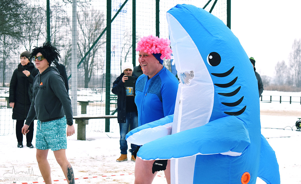 Finał WOŚP w Pabianicach