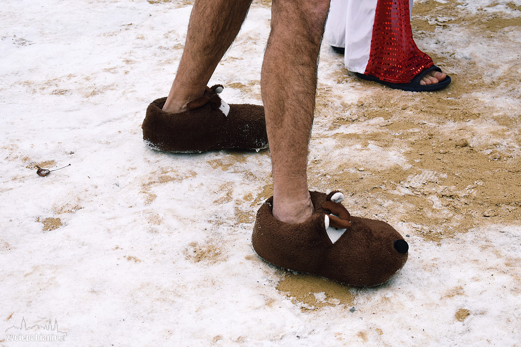 Finał WOŚP w Pabianicach