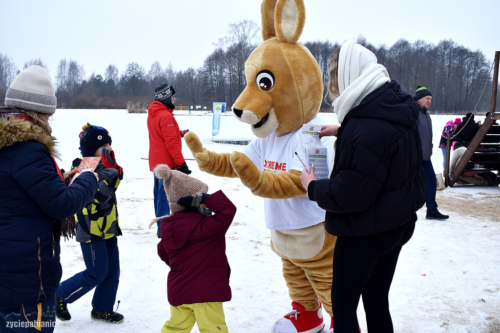Finał WOŚP w Pabianicach