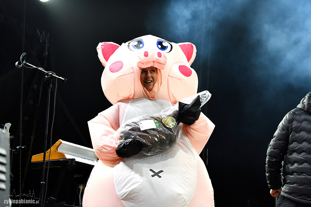 Finał WOŚP w Pabianicach