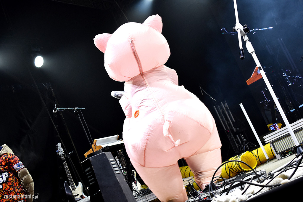 Finał WOŚP w Pabianicach