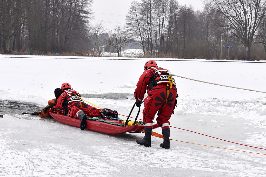 Akcja ratunkowa na Lewitynie
