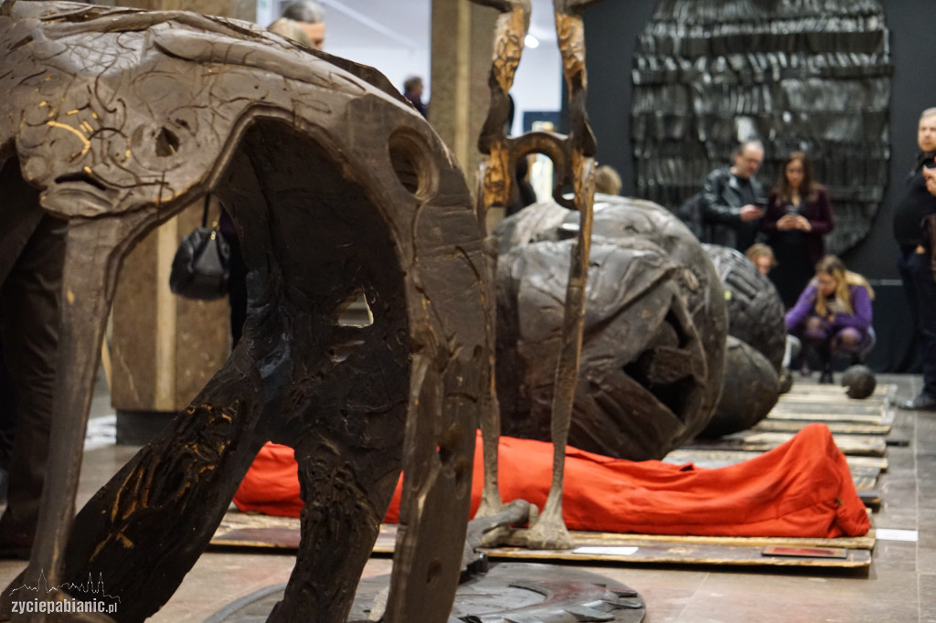 Cztery dekady twórczości w jednym miejscu