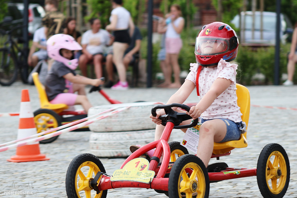 Piknik ekologiczny