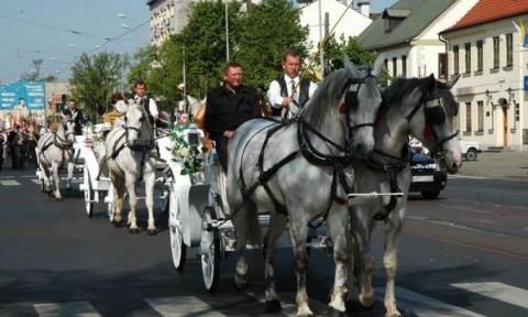 Trzy bryczki poprowadziły orszak i pochód 3 Majowy 