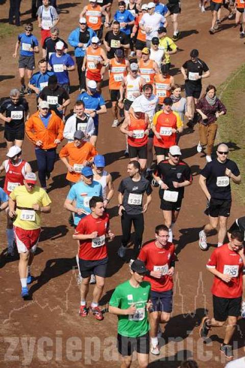 Około 600 osób pogiegło w pabianickim półmaratonie.