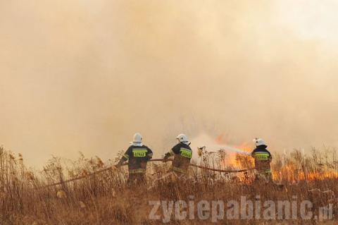 Paliły się nieużytki na Karolewie. W akcji brało udział 14 jednostek straży pożarnej.