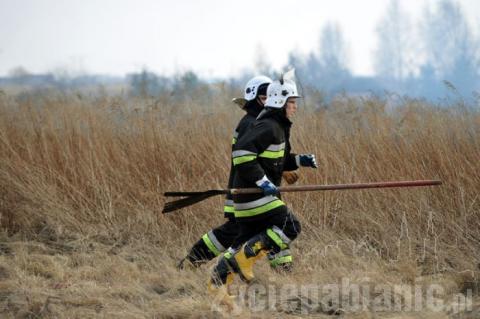 Paliły się nieużytki na Karolewie. W akcji brało udział 14 jednostek straży pożarnej.