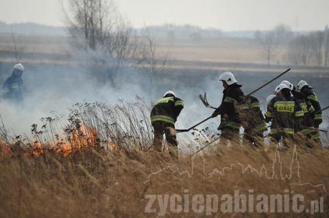 Paliły się nieużytki na Karolewie. W akcji brało udział 14 jednostek straży pożarnej.