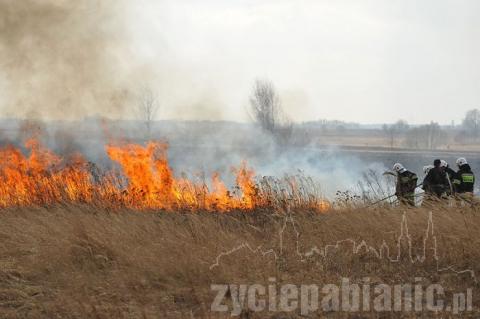 Paliły się nieużytki na Karolewie. W akcji brało udział 14 jednostek straży pożarnej.