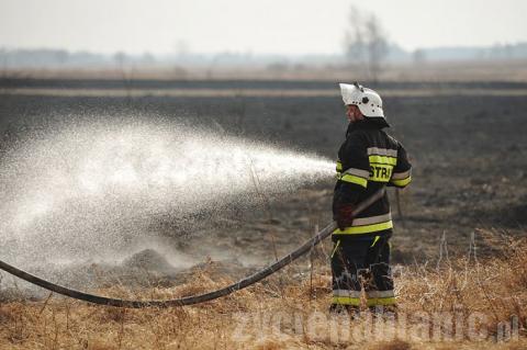 Paliły się nieużytki na Karolewie. W akcji brało udział 14 jednostek straży pożarnej.