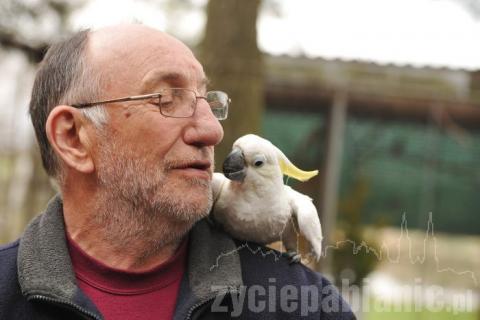 W wolierach na terenie mini zoo latają egzotyczni mieszkańcy: szpaki balijskie, błyszczaki trójbarwne, turako białouche, turaki buffonii.