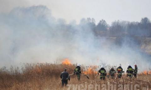 Paliły się nieużytki na Karolewie. W akcji brało udział 14 jednostek straży pożarnej.