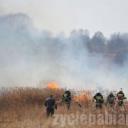 Paliły się nieużytki na Karolewie. W akcji brało udział 14 jednostek straży pożarnej.