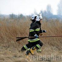 Paliły się nieużytki na Karolewie. W akcji brało udział 14 jednostek straży pożarnej.