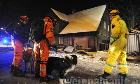 Na ulicy Lutomierskiej zawalił się stary drewniak. Strażacy z psami przeszukiwali gruzowisko