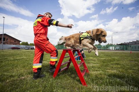 220 strażaków rywalizowało o tytuł najlepszego