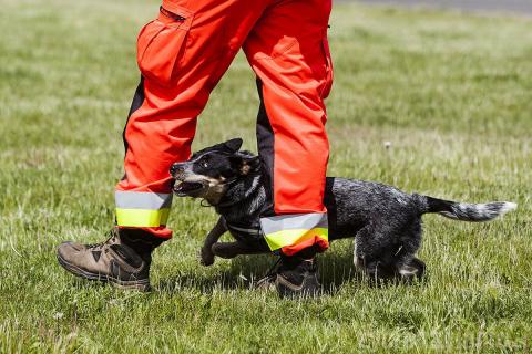 220 strażaków rywalizowało o tytuł najlepszego