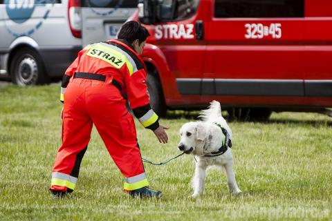 220 strażaków rywalizowało o tytuł najlepszego