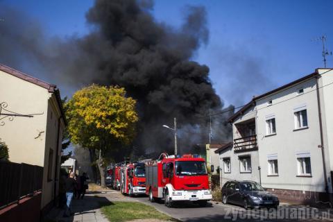 Straty w 303 pożarach wyniosły 1.974.500 zł. Najczęstsze przyczyny pożarów to zaprószenie ognia i podpalenia umyślne