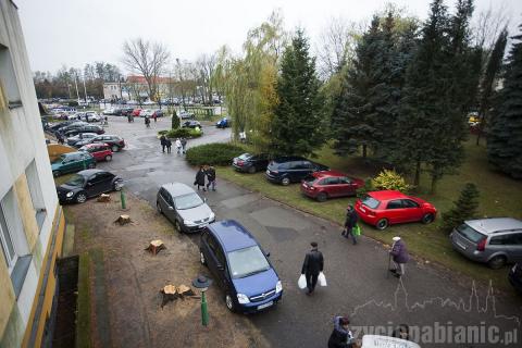 Pabianiczanie odwiedzili groby bliskich