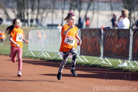 Były wielkie emocje. Najmłodsi pobiegli w Półmaratoniku