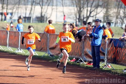 Były wielkie emocje. Najmłodsi pobiegli w Półmaratoniku