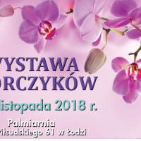 wystawa storczyków palmiarnia Życie Pabianic