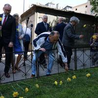 Obchody 80 rocznicy likwidacji getta w Pabianicach Życie Pabianic