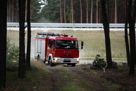 Feralne wyjście na grzyby. 68-latkę znaleziono przypadkiem Życie Pabianic