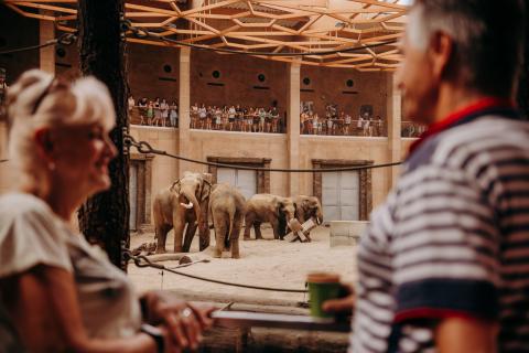 Orientarium ZOO Łódź