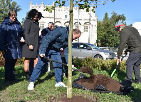 Światowy Dzień Drzewa Życie Pabianic