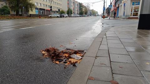 Zapchane studzienki nie przyjęły deszczówki. Tak jest w wielu miejscach w Pabianicach.