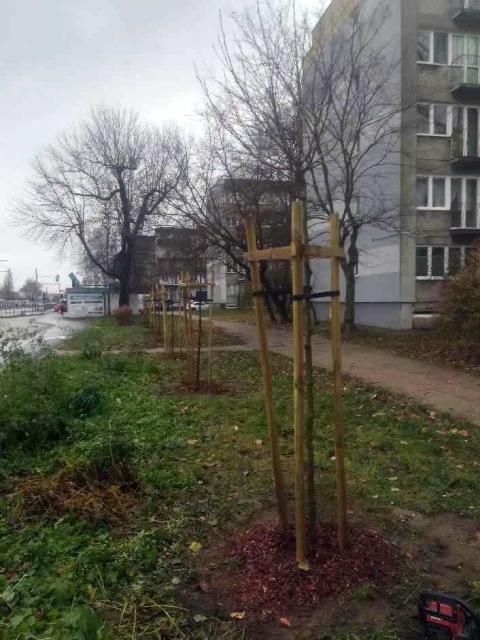 Odnowiono kwiatowy herb przy pętli tramwajowej