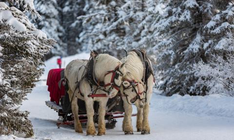 Kulig Zakopane 2024 , życiepabianic.pl