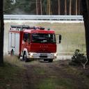 Feralne wyjście na grzyby. 68-latkę znaleziono przypadkiem Życie Pabianic