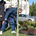 Światowy Dzień Drzewa Życie Pabianic