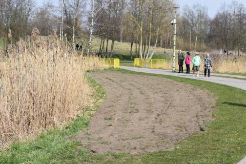 W Lewitynie powstała Wiosenna Aleja. Będą też łąki kwietne Życie Pabianic