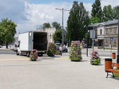 Ukwiecają ulicę Zamkową  Życie Pabianic