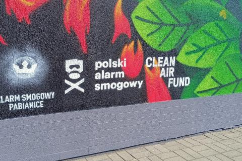 Pierwszy mural na Zatorzu. Ma ekologiczne przesłanie