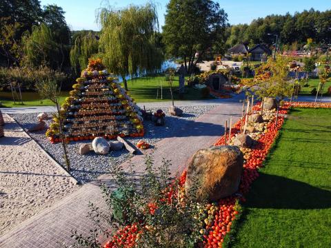 Dobronianka: mini zoo z niemałymi atrakcjami