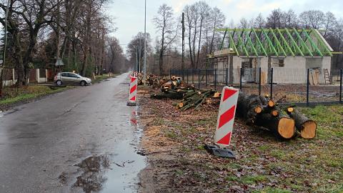 Remont drogi w Rydzynach. Zaczęło się od wycinki drzew Życie Pabianic