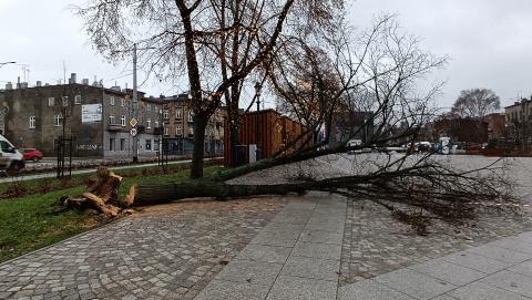 Stary rynek Życie Pabianic