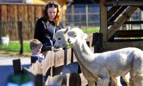 Dobronianka: mini zoo z niemałymi atrakcjami