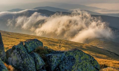 Tatry Niskie Życie Pabianic