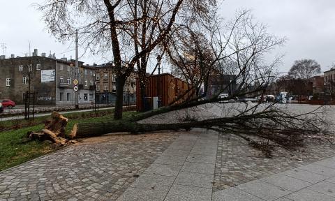 Stary rynek Życie Pabianic